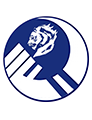 平头哥队